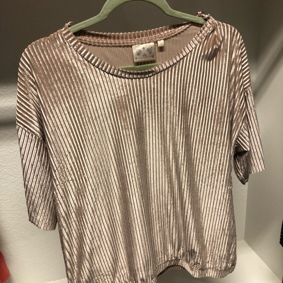 Velvet shirt sleeve pale blush top - Picture 2 of 3